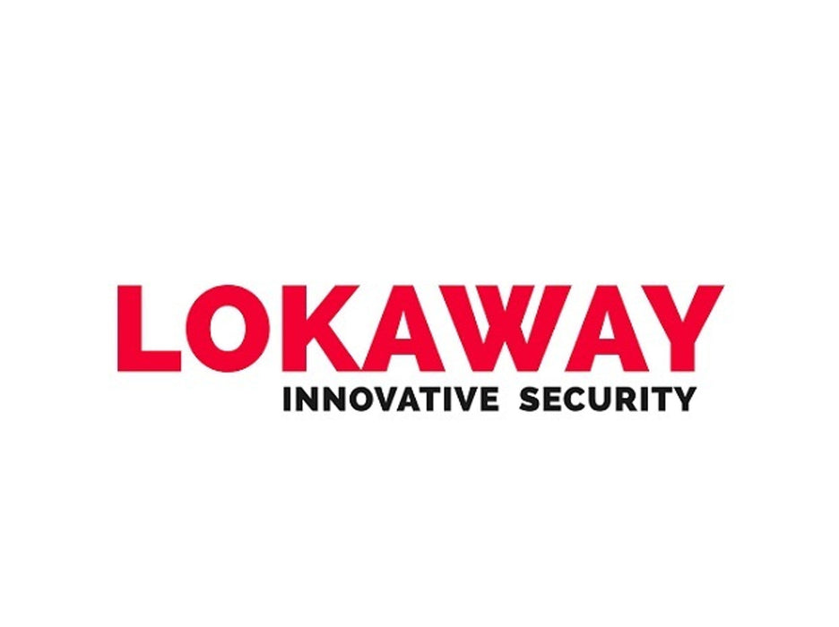 LOKAWAY - LOK4K-D - GUN & AMMUNITION SAFE