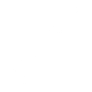 Shotguns