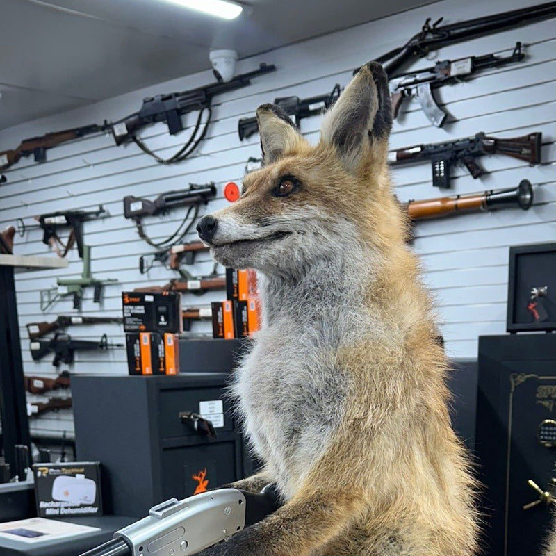 "The Foxes Fight Back" — Great for the Man Cave