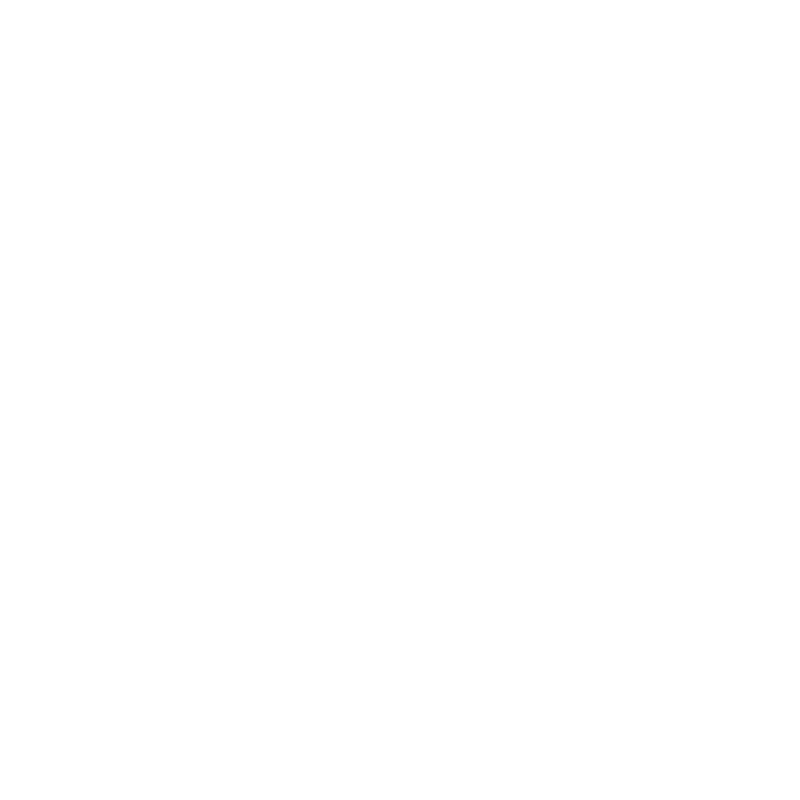 Beretta logo