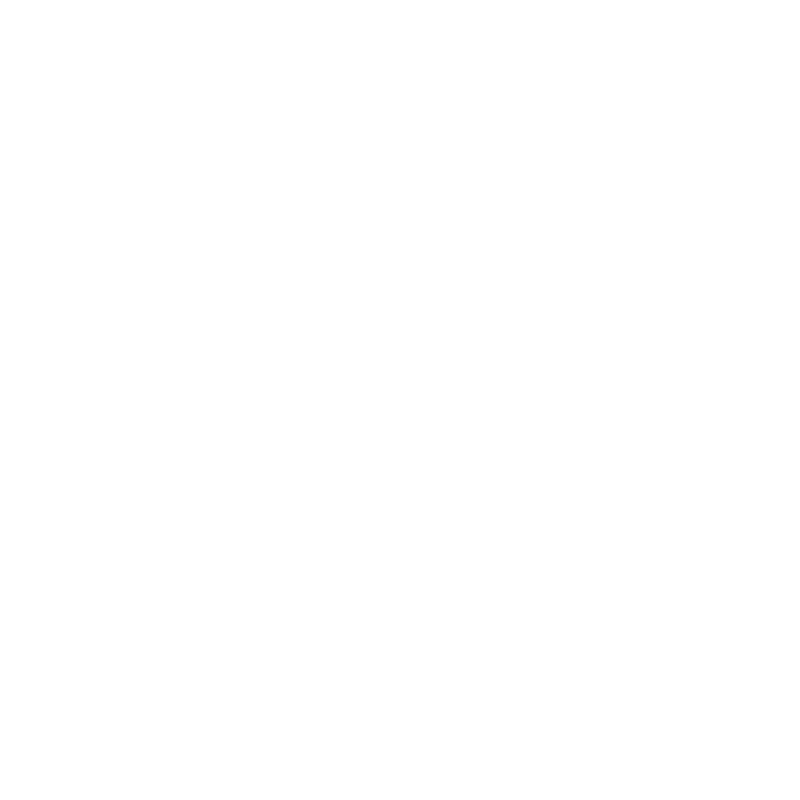 Bettinsoli logo