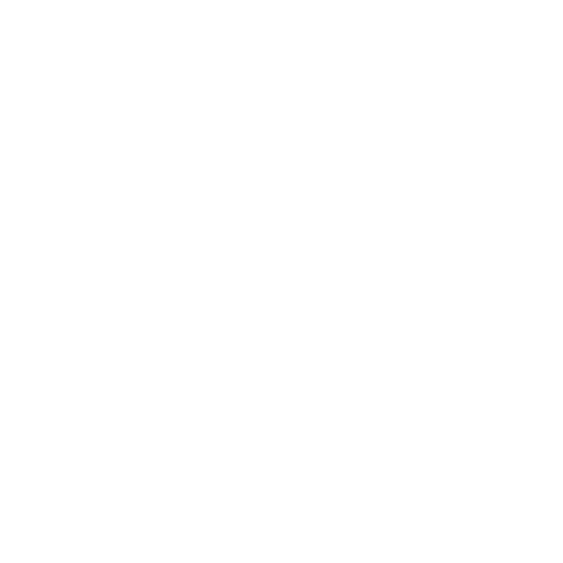 Canik logo