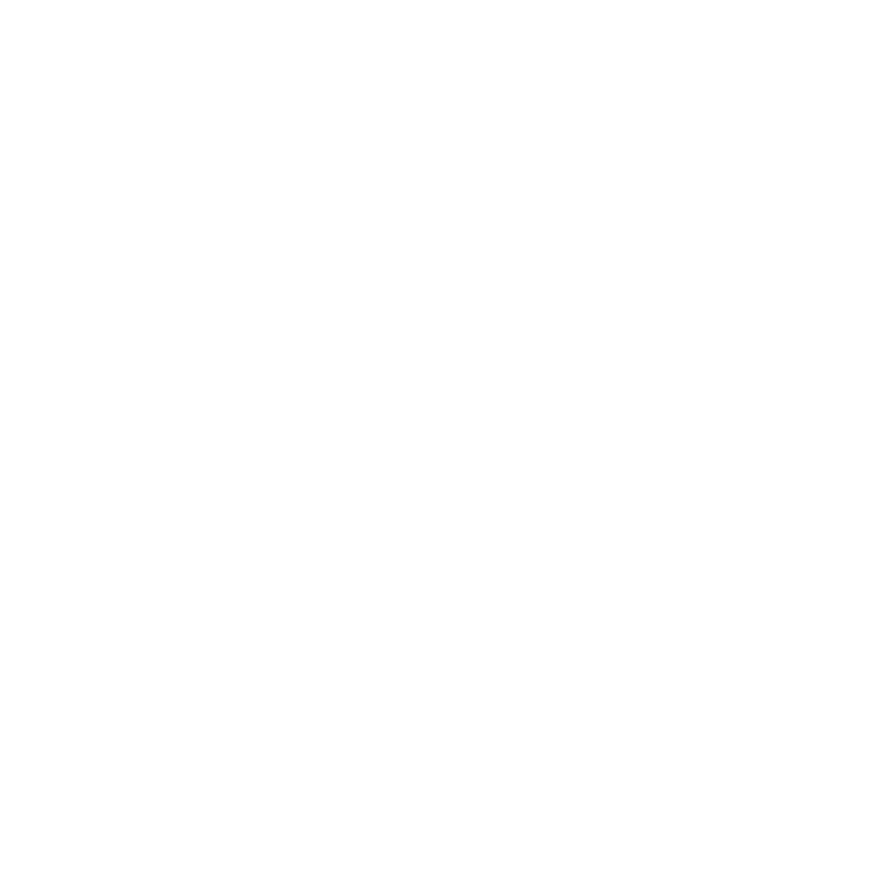Daystate logo