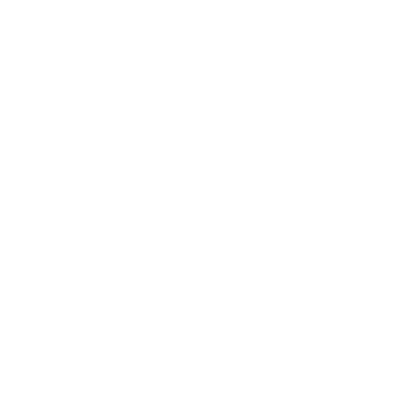 Evolution Gear logo