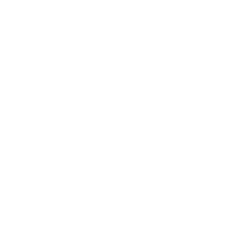 GARMIN logo