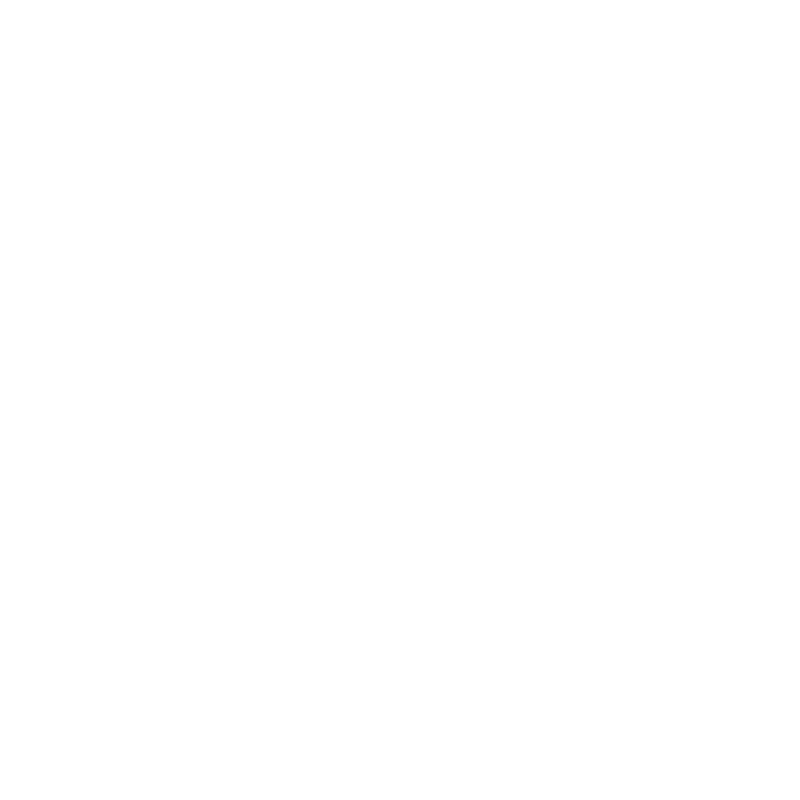 Hammerli logo
