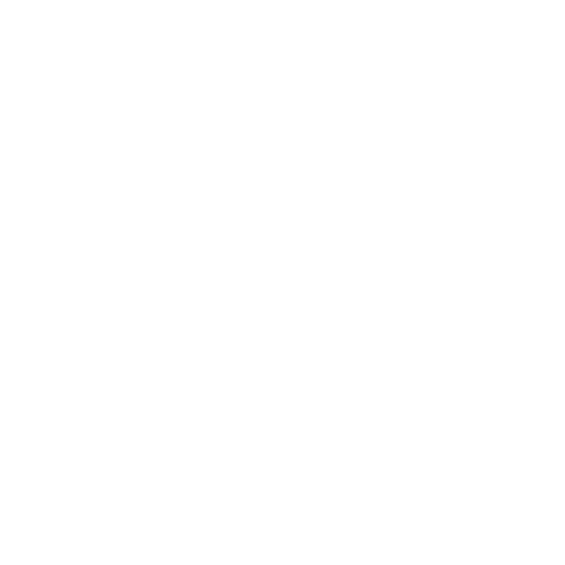 Hy-Skor logo