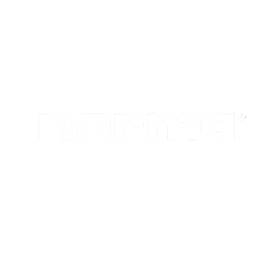 Norma logo