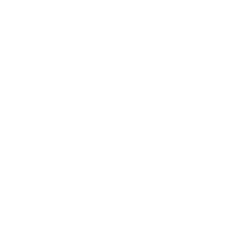 Ruger logo