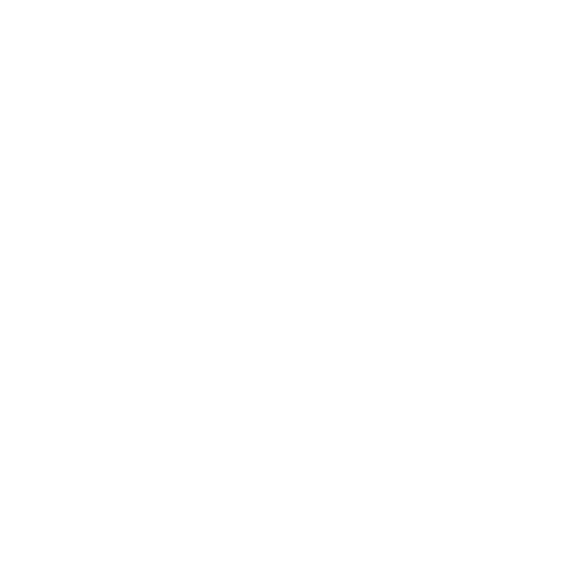 STEYR logo