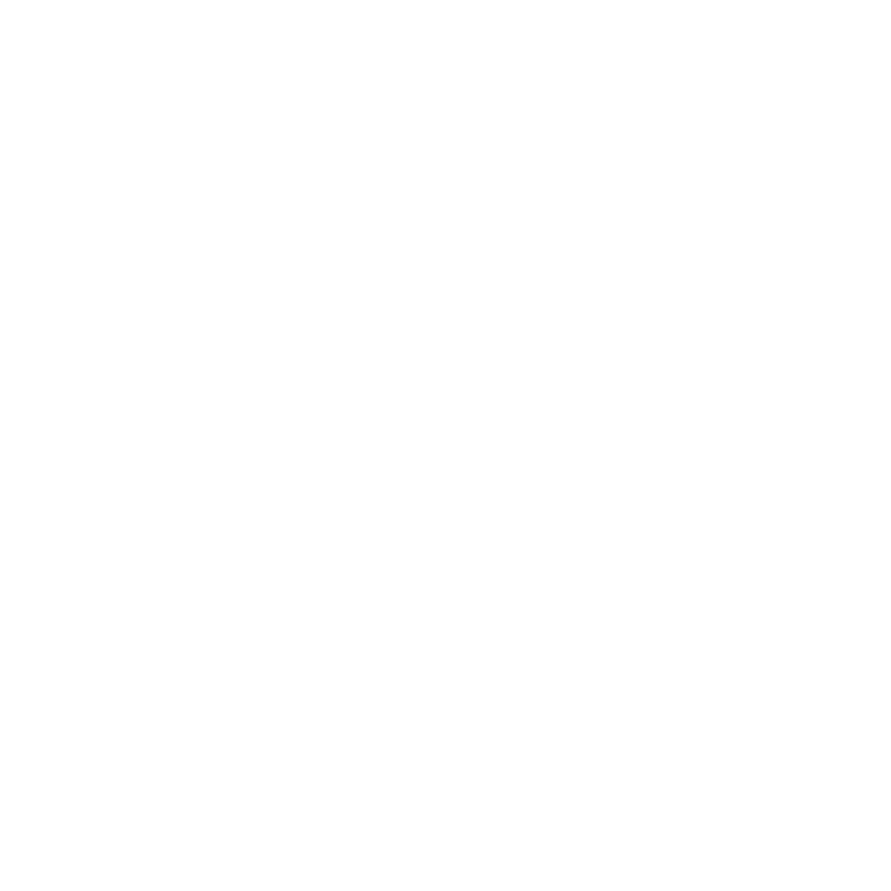 Wedgetail Industries logo