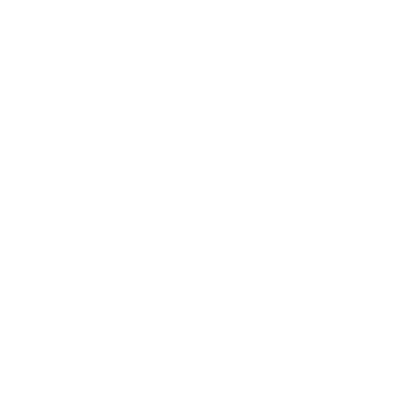 White Flyer logo